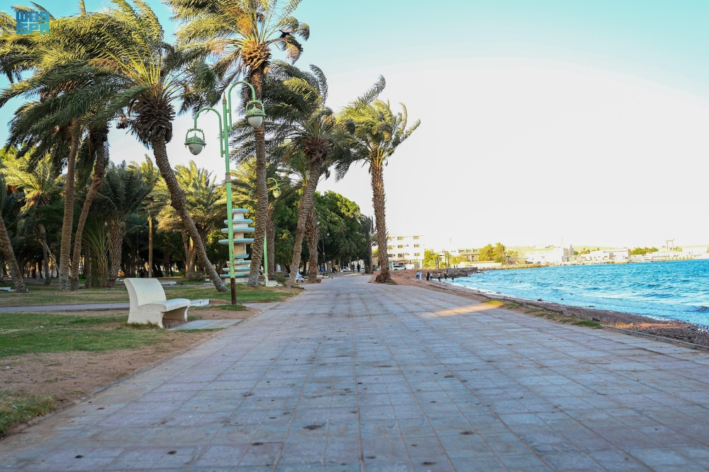 متنزه النخيل بمحافظة حقل - واس