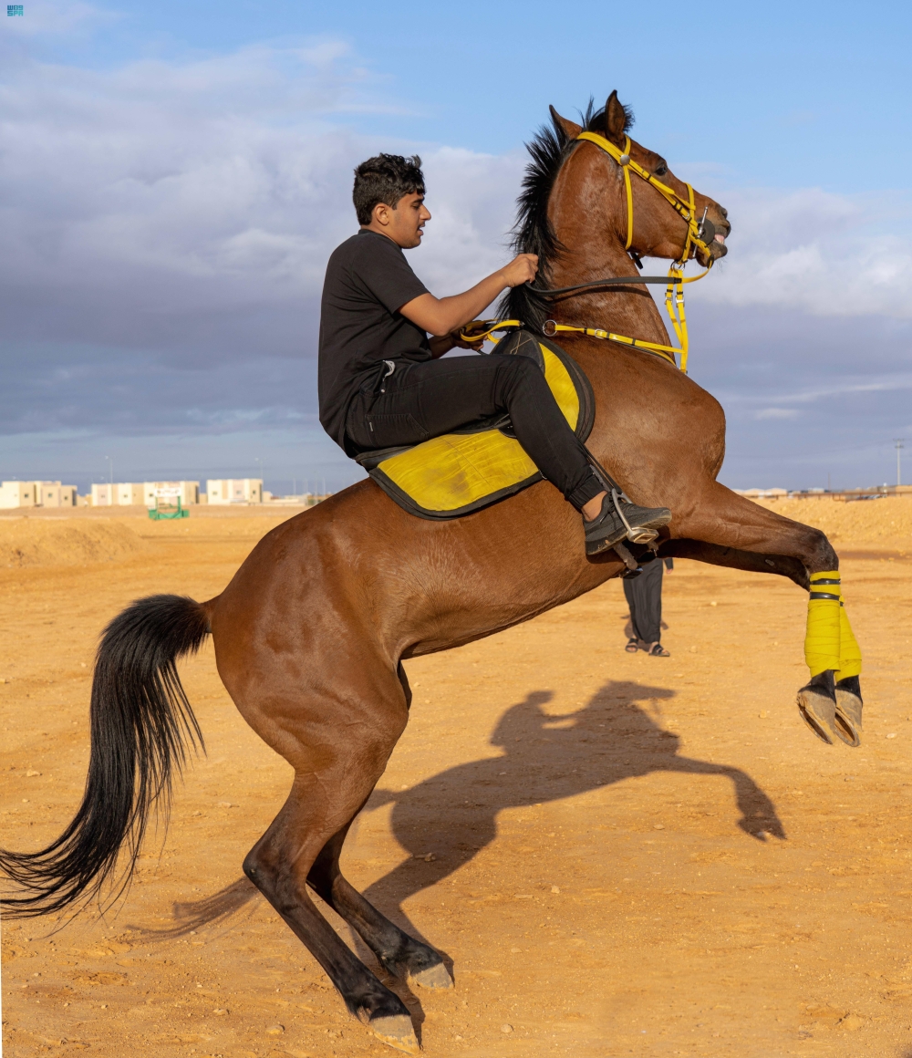 رياضة ركوب الخيل في رفحاء - واس