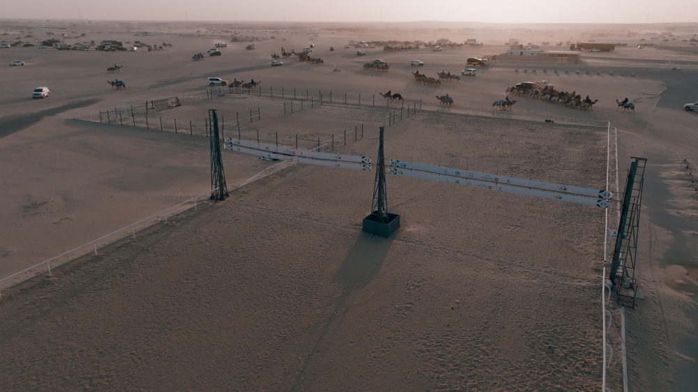 كأس وزارة الرياضة للهجن ينطلق غداً على أرضية ميدان السيح 