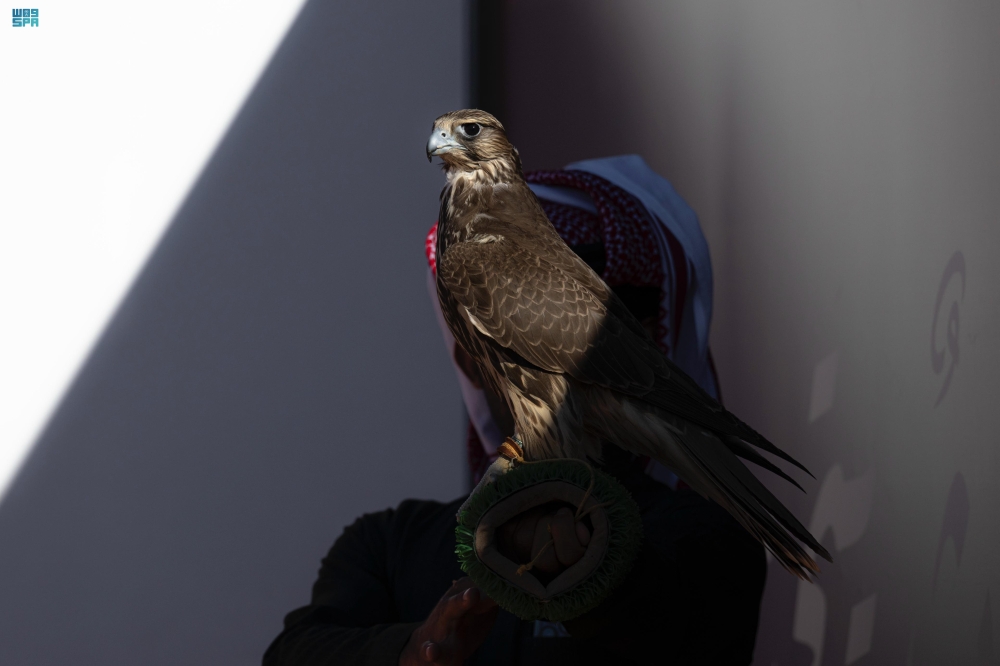 مهرجان الملك عبدالعزيز للصقور 2024 - واس