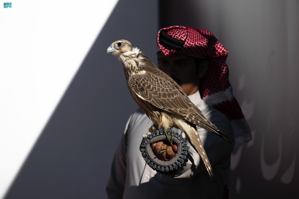 مهرجان الملك عبدالعزيز للصقور 2024 - واس