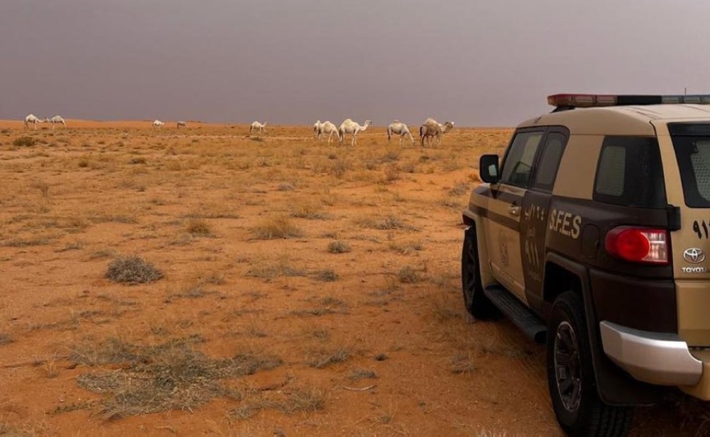 ضبط مخالفين لنظام البيئة في الرياض والمدينة المنورة - إكس
