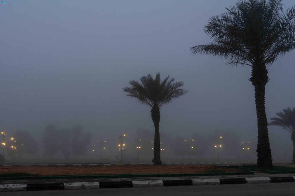 الضباب في رفحاء - واس