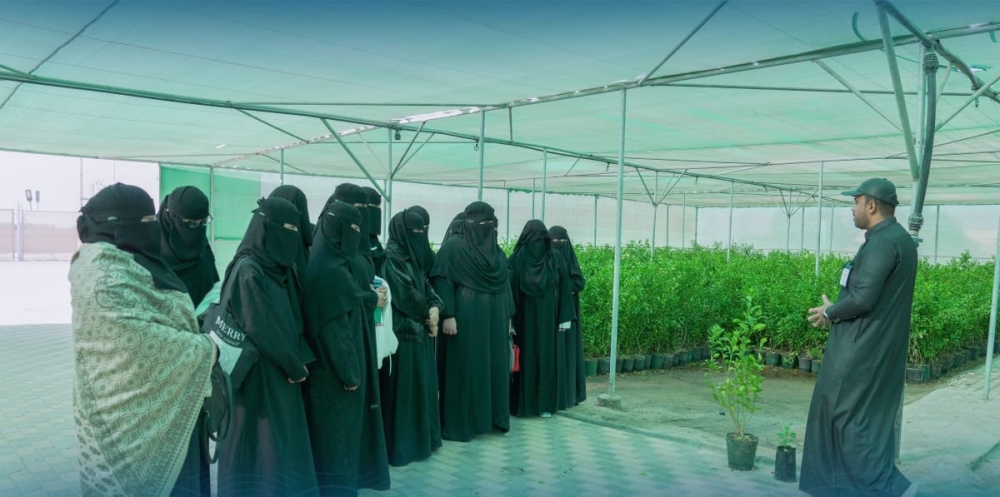 طالبات الأحساء يزرعون الأشجار في مدينة الليمون