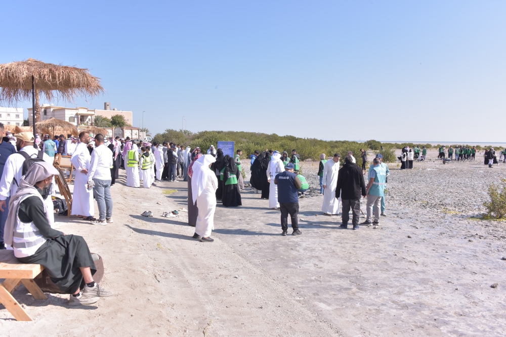 احتفالًا بيوم الأراضي الرطبة.. زراعة 1000 شتلة مانجروف في تاروت