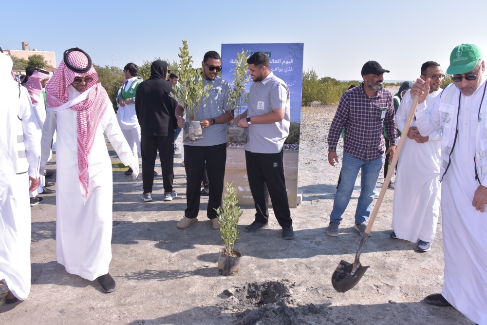 احتفالًا بيوم الأراضي الرطبة.. زراعة 1000 شتلة مانجروف في تاروت
