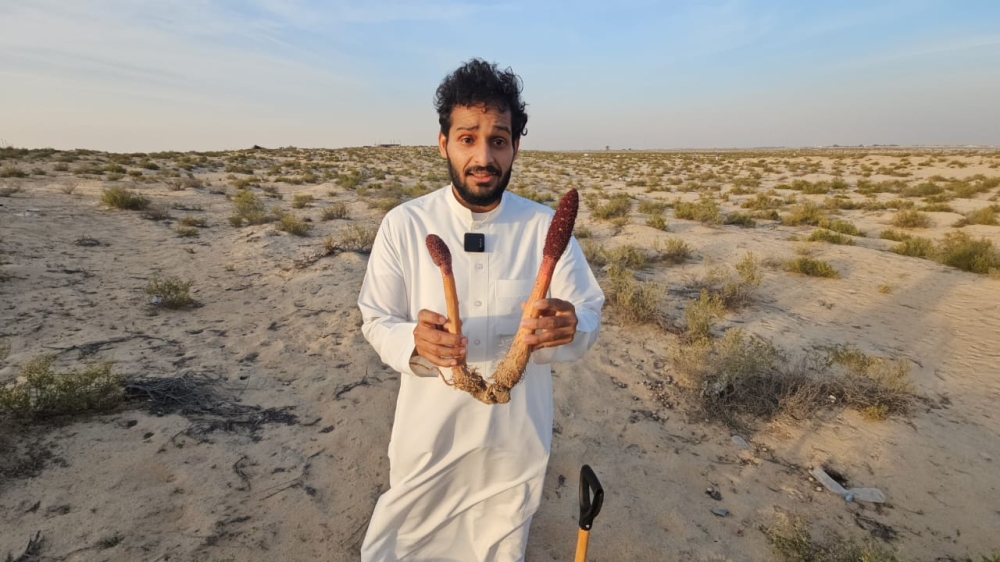 يصل طول ”الطرثوث“ في بعض الأحيان إلى 80 سنتيمترًا