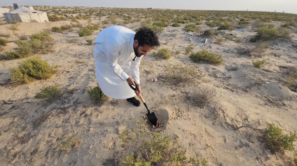 كنز الصحراء الحلو والمر... مرتادو البر يتحدثون عن فوائد ”الطرثوث“