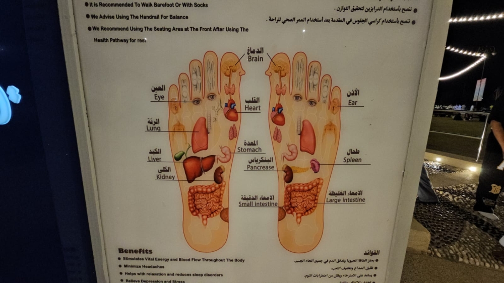 أحجار نهرية ملساء تمتص الضغوط وتنشط الدورة الدموية في رأس تنورة