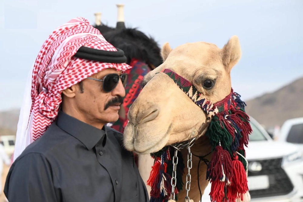 صور.. مواكب 