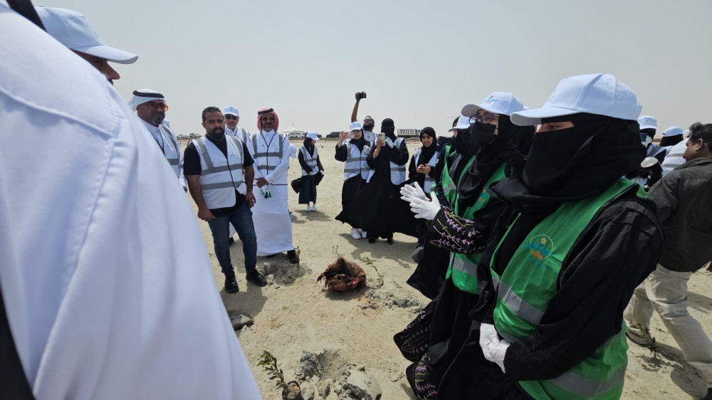 شاهد.. تدشين المرحلة الـ2 لزراعة 100 ألف 