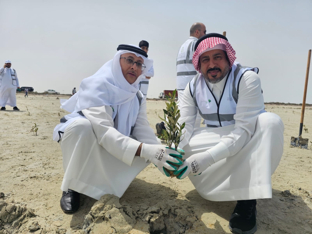  تدشين المرحلة الـ2 لزراعة 100 ألف مانجروف بدانة الرامس - اليوم 