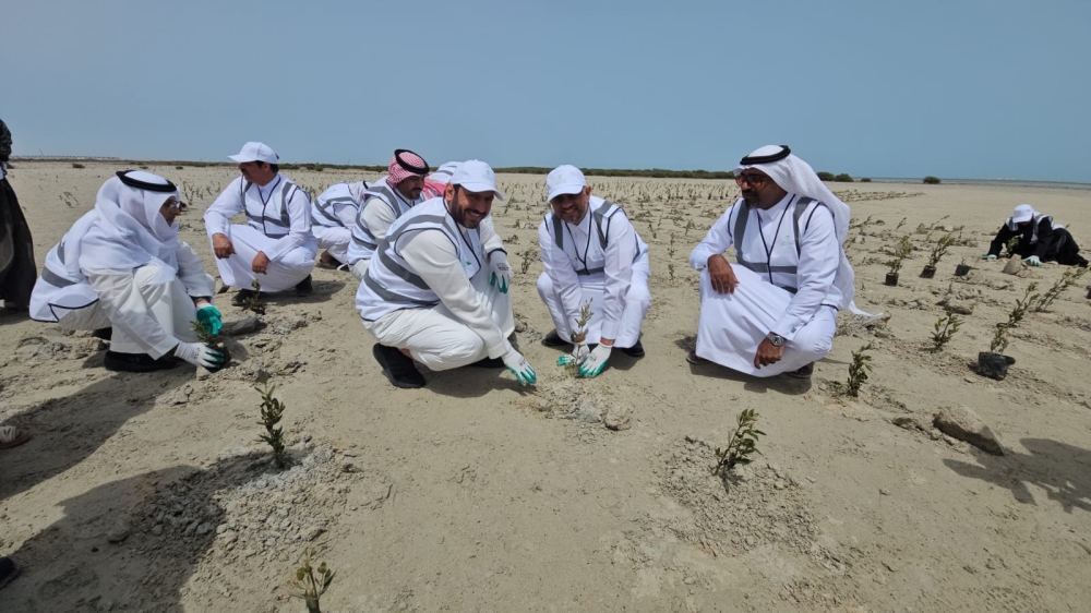 شاهد.. تدشين المرحلة الـ2 لزراعة 100 ألف 