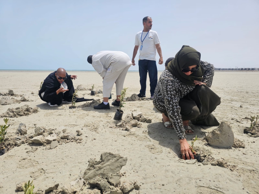 الشرقية تحتضن أول منتزه مانجروف مجتمعي بأكشاك ومناحل عسل