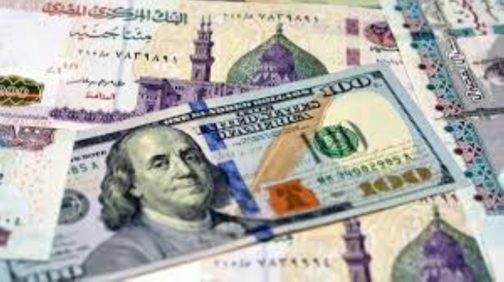 استقرار سعر الدولار أمام الجنيه خلال عطلة البنوك اليوم