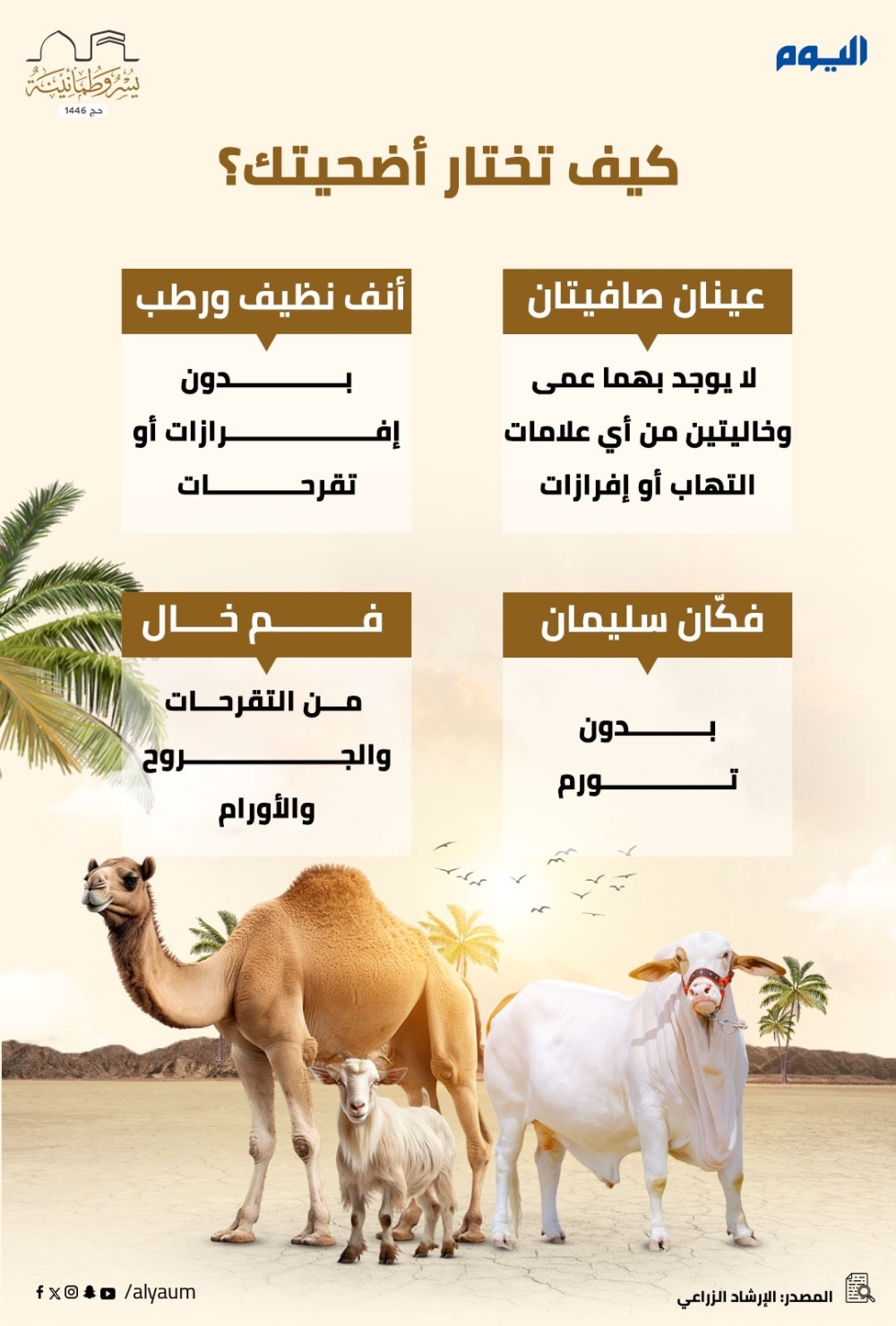 كيف تختار أضحيتك؟  