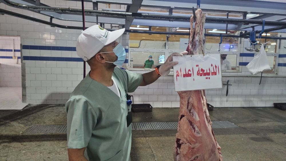فيديو | ما أهمية الذبح في المسالخ المرخصة؟.. طبيب بيطري يوضح