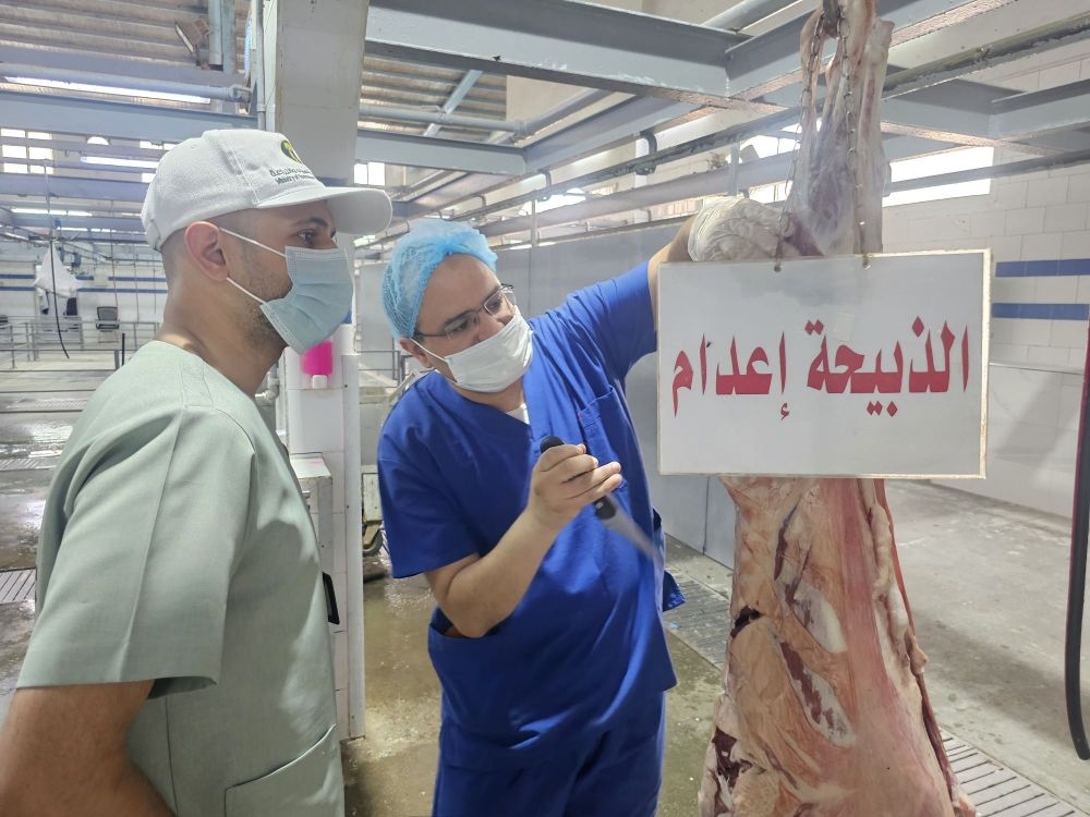فيديو | ما أهمية الذبح في المسالخ المرخصة؟.. طبيب بيطري يوضح