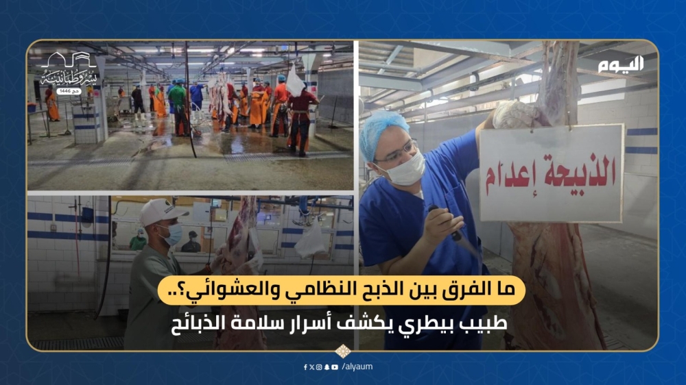فيديو | ما أهمية الذبح في المسالخ المرخصة؟.. طبيب بيطري يوضح