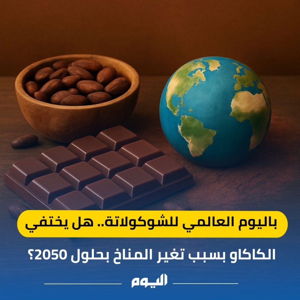 فيديو | اليوم العالمي للشوكولاتة.. هل يختفي الكاكاو بسبب تغير المناخ؟