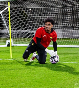 حامد الشنقيطي