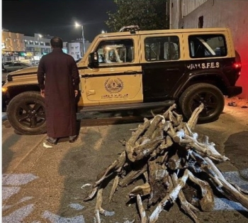 ضبط مخالف لاستخدامه حطبًا محليًا في أنشطة تجارية في منطقة عسير - إكس الأمن البيئي
