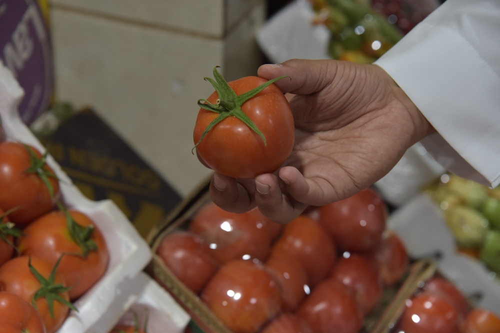 من 25 إلى 60 ريالًا.. سعر كرتون الطماطم يقفز لأكثر من 140% بالشرقية - اليوم