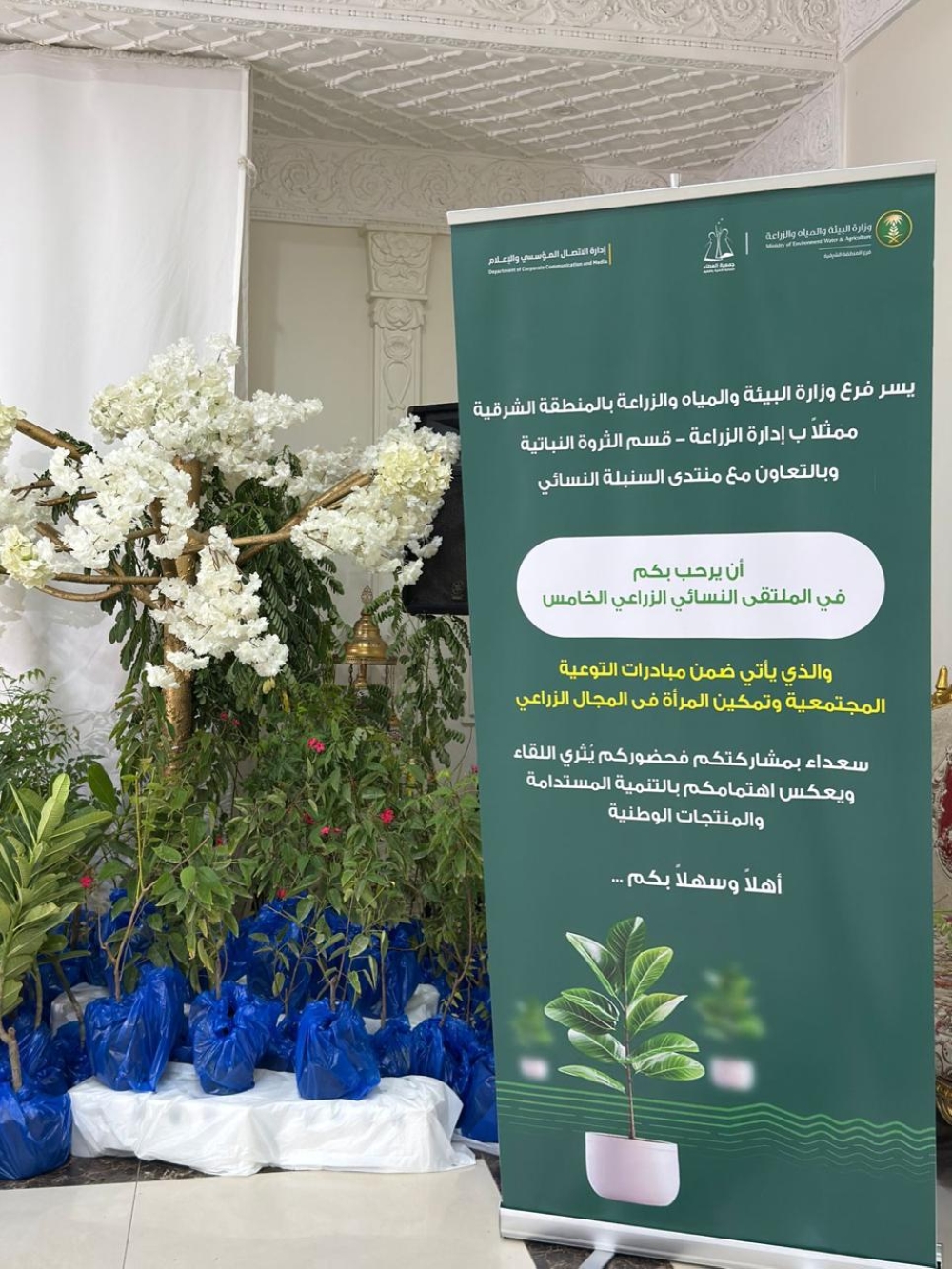 شمل توزيع شتلات مجانية.. ملتقى زراعي نسائي لتبادل الخبرات بالقطيف - اليوم