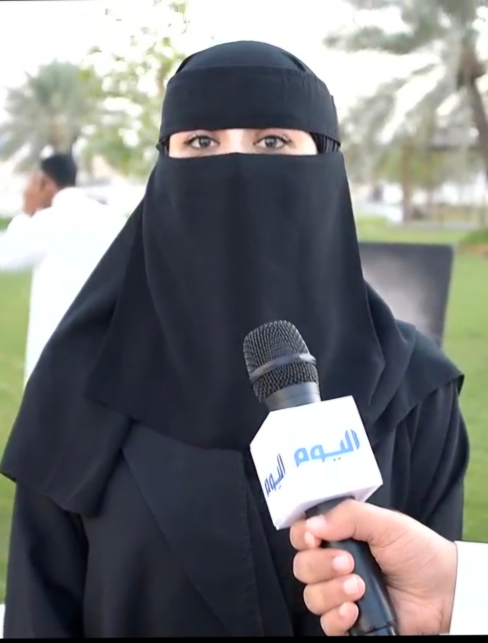 بنين الباشا