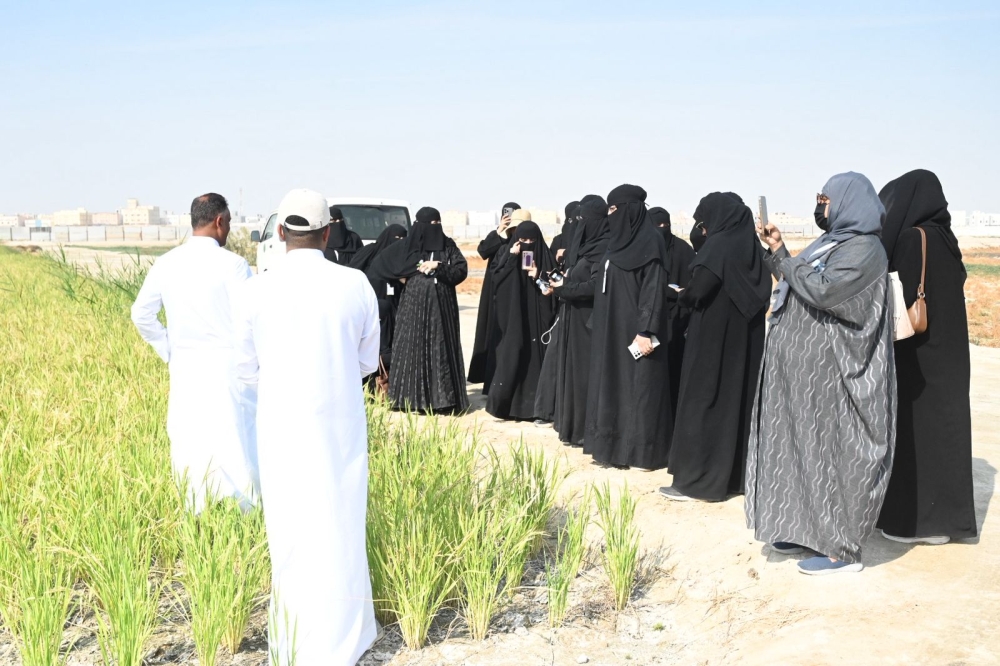 الزراعة الذكية.. برنامج ميداني لتمكين المرأة الريفية من إدارة المزارع بالأحساء