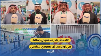 400 طائر نادر تستعرض جمالها في أول معرض سعودي للبادجي - اليوم