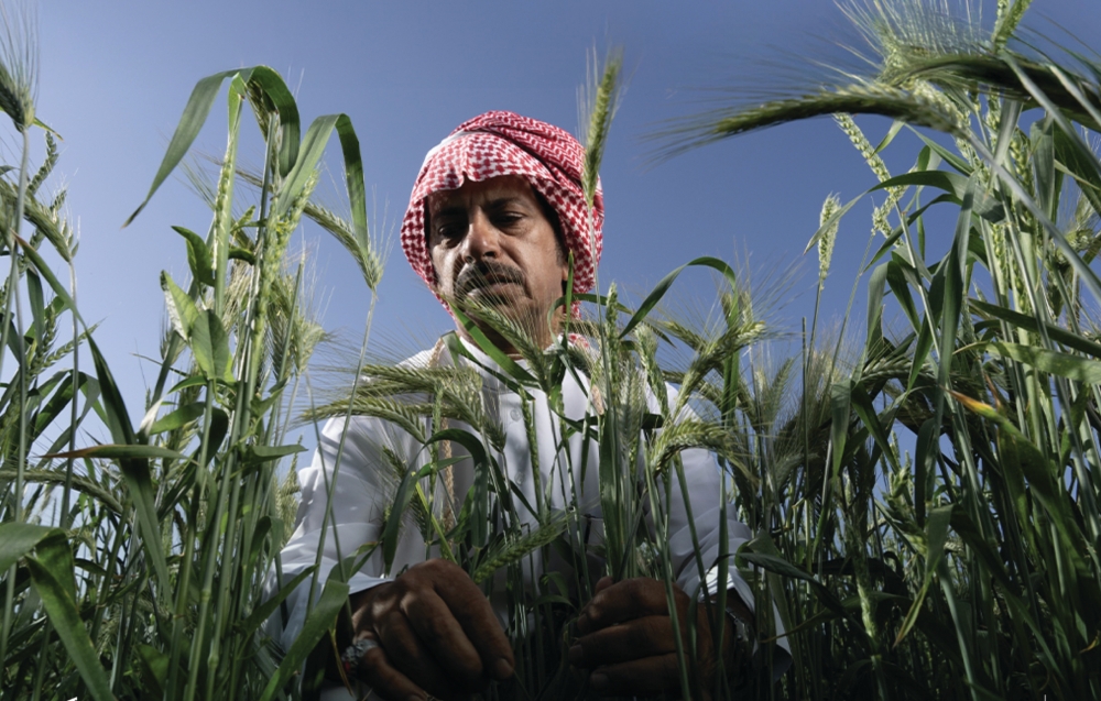وزارة البيئة تطرح 3 فرص للاستثمار الزراعي بمكة وعسير والشرقية