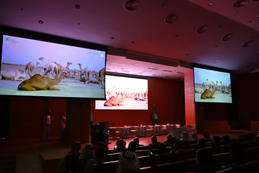 0.4 % فقط من حليب العالم… الإبل تفتح آفاقًا جديدة للابتكار الصحي والتقنية الحيوية
