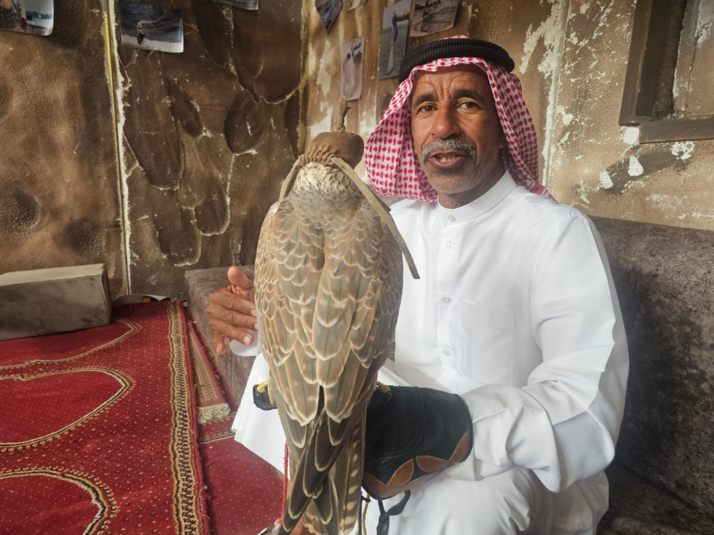 الصقر.. إرث 