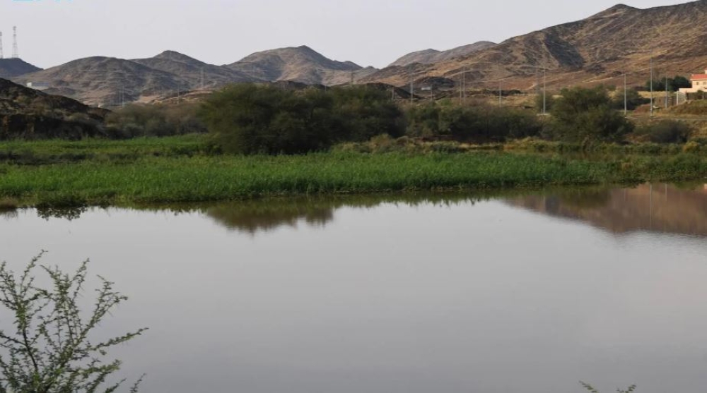 الأجواء الماطرة تزيّن عيد الفطر في عسير - واس