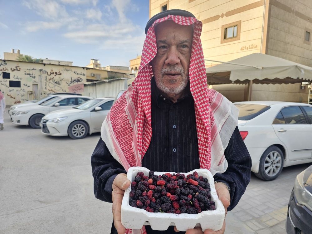 5.26 كجم للمتر المربع.. إنتاجية الشرقية من التوت الأسود بالبيوت المحمية - اليوم