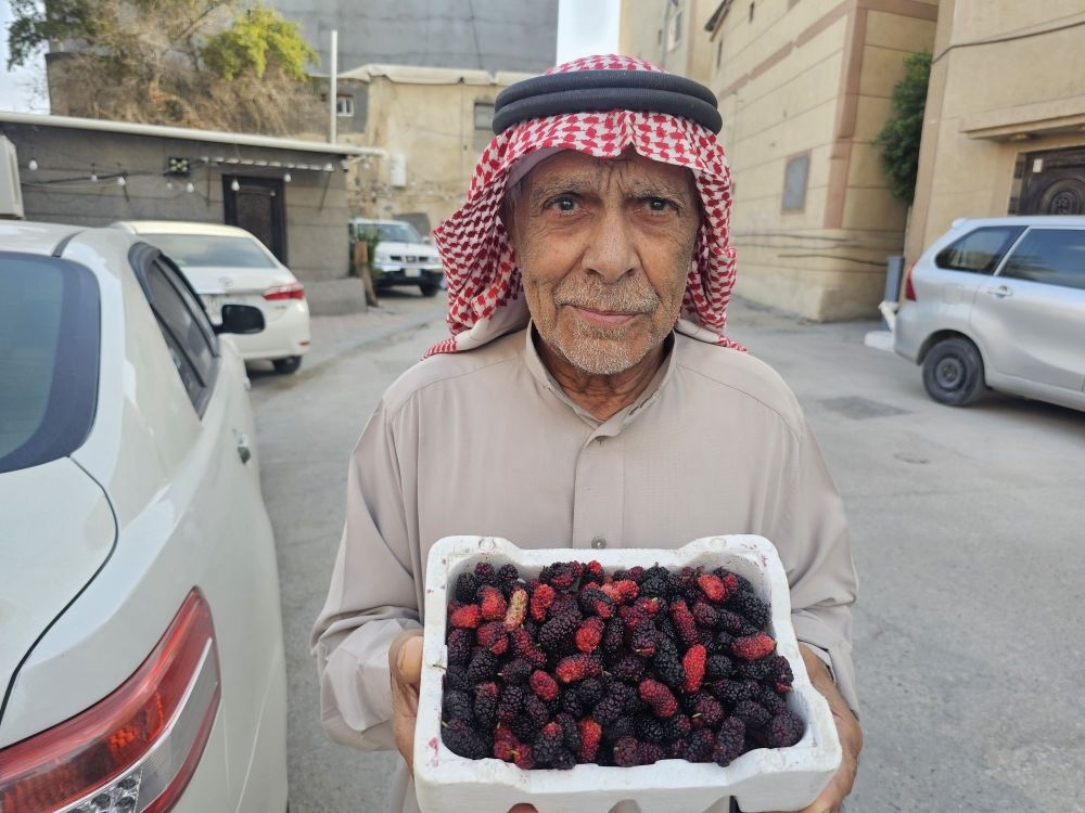 5.26 كجم للمتر المربع.. إنتاجية الشرقية من التوت الأسود بالبيوت المحمية - اليوم