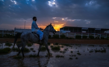 الباحة تحت زخّات المطر والبَرَد - واس