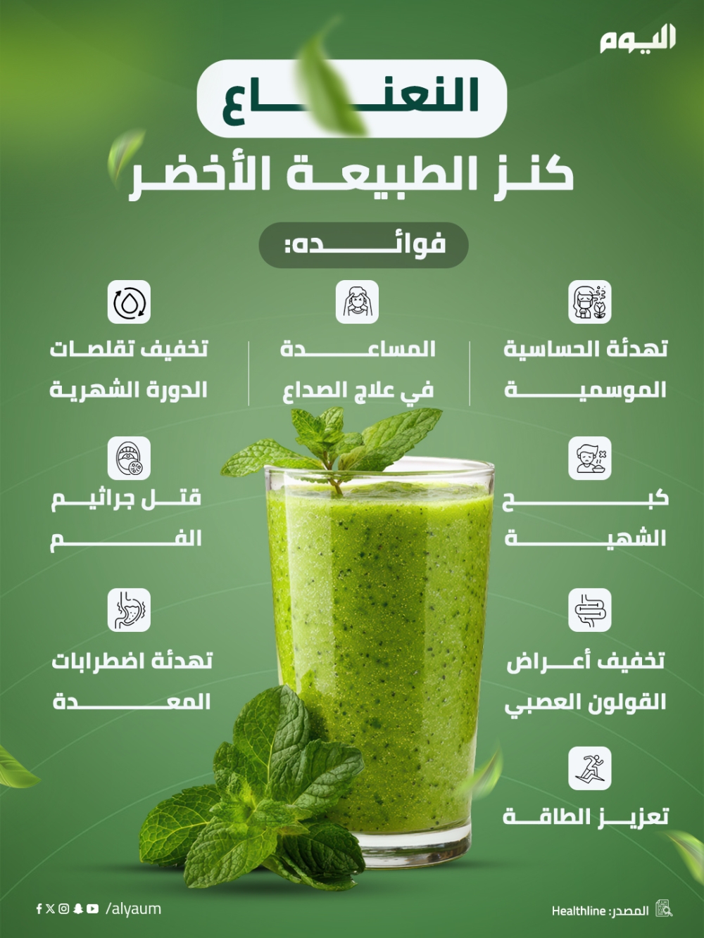 النعناع.. كنز الطبيعة الأخضر 