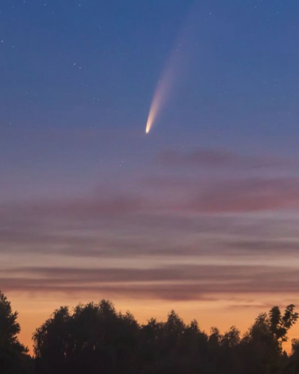 فلكية جدة: اقتراب مذنب “PANSTARRS” من الشمس في أبريل فرصة نادرة لرصده بالعين المجردة