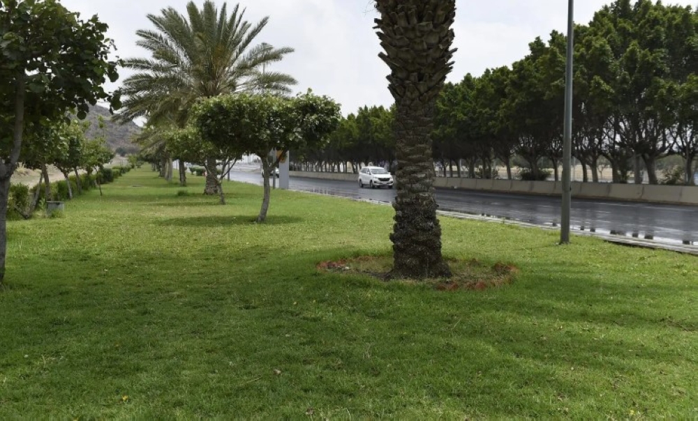 هطول أمطار على الرياض والطائف - واس 