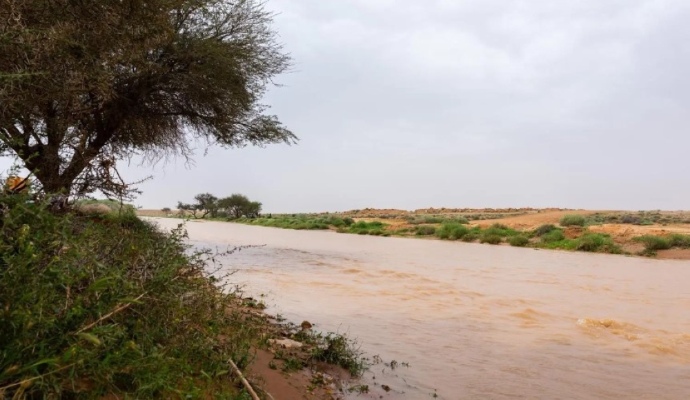 الأمطار تنعش الحركة السياحية في الأسياح بالقصيم - واس 