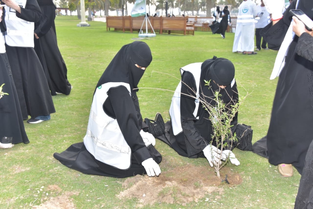 250 متطوعًا يزينون واجهة الدمام البحرية بالشتلات الزراعية - اليوم
