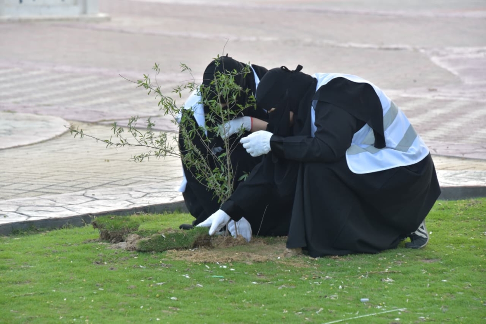 250 متطوعًا يزينون واجهة الدمام البحرية بالشتلات الزراعية - اليوم