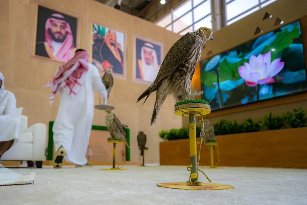 نادي الصقور السعودي يعلن مواعيد فعالياته لعام 2026