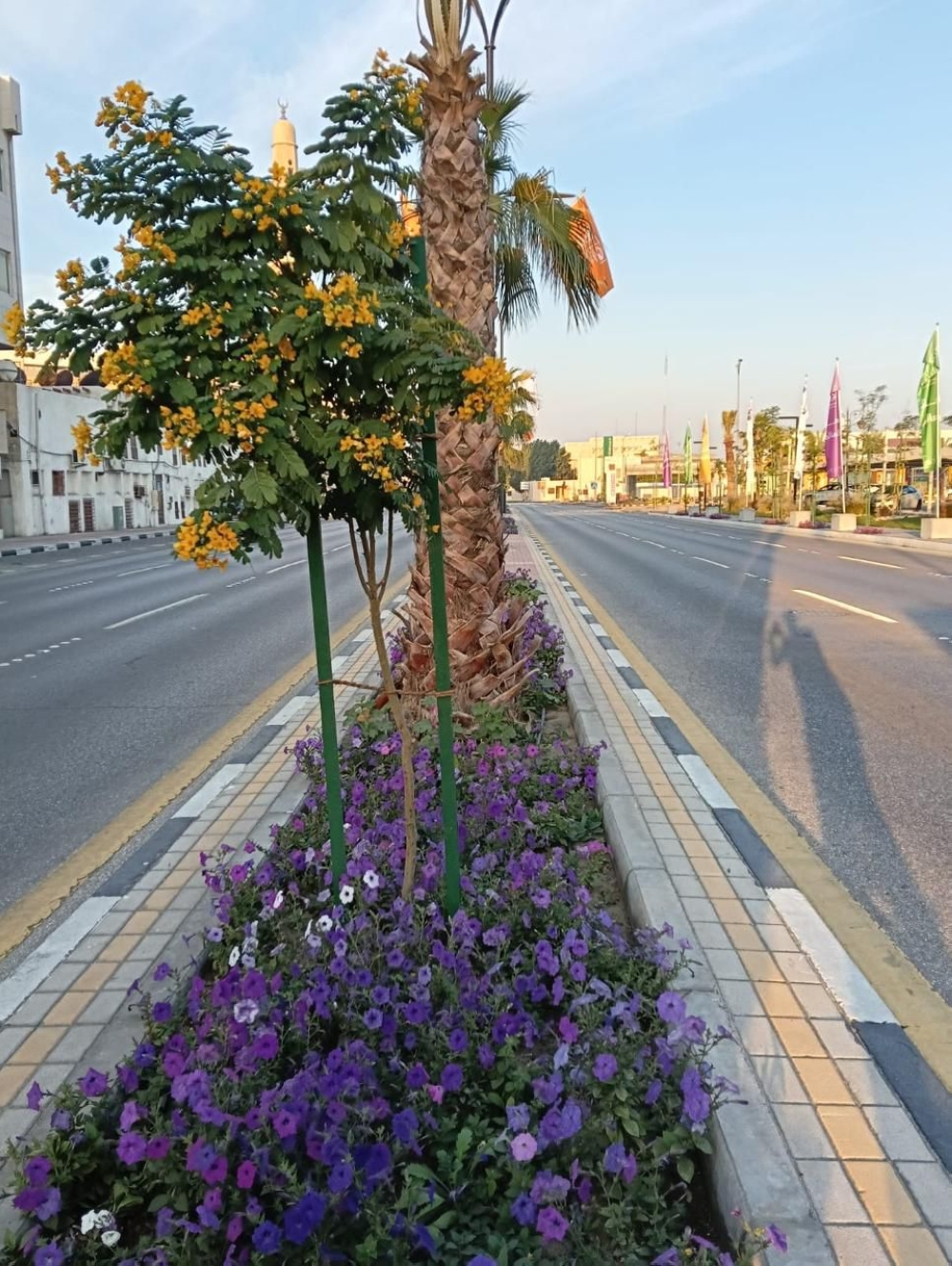 6872 زيارة للمنشآت التجارية و35 ألف عملية لرفع الأنقاض في الدمام - اليوم
