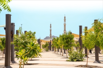 60 ألف شجرة لدعم الاستدامة البيئية في المشاعر المقدسة 
