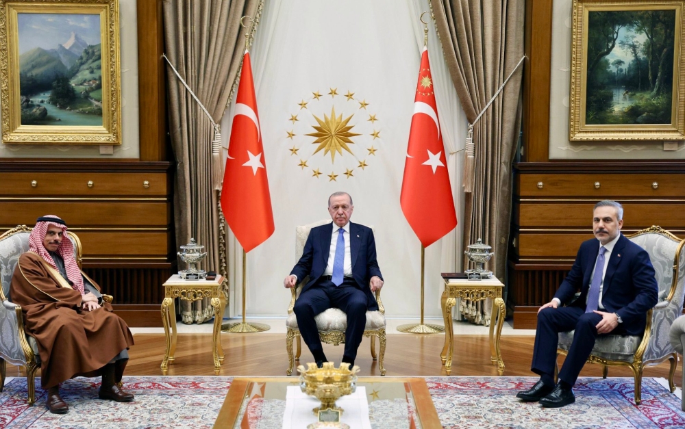 وزير الخارجية يبحث تعزيز التعاون مع رئيس تركيا
