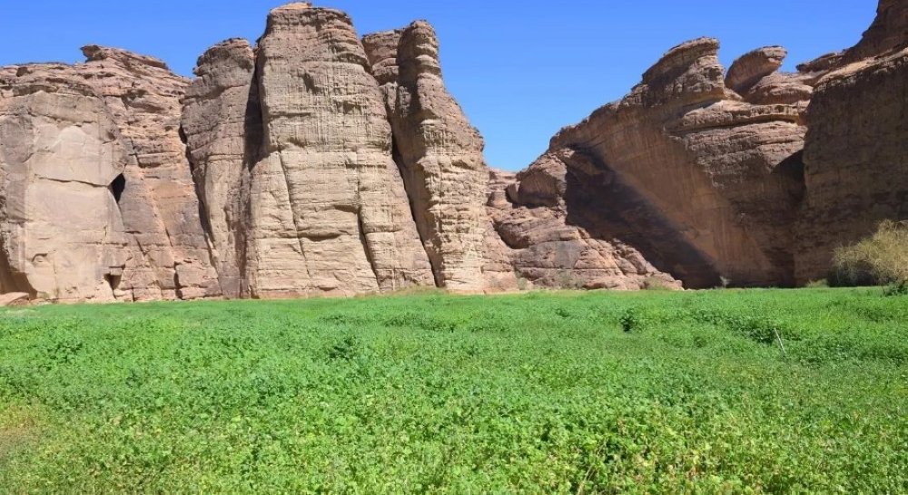 محمية شرعان في العُلا.. نموذج عالمي لإدارة البيئات الصحراوية - واس