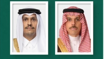 وزير الخارجية ونظيره القطري يبحثان مستجدات الأوضاع في المنطقة